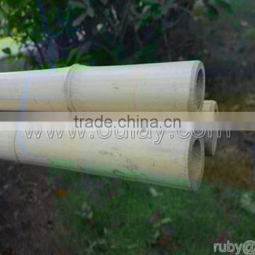 Decorative Short Bamboo Canes photo-3