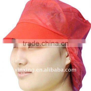 pp snood cap with peak & hairnet