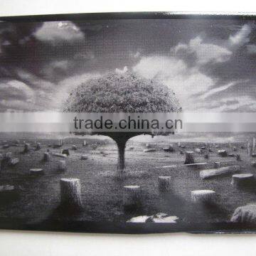 Granite Marble Laser Engraving Machine photo-2