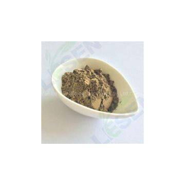 Black Tea Powder