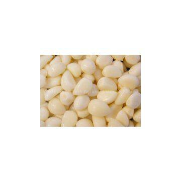 Whole Sale Fresh Peeled Garlic in China