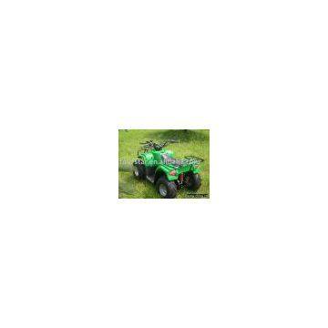 Electric ATV  1000W