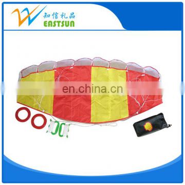 Outdoor Sport Hot Saling Kite