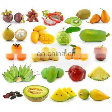 Factory Supply CE Approved Potato Washing Grading Machine Carrot Washing Machine photo-3