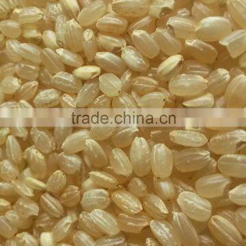 Organic Brown Rice