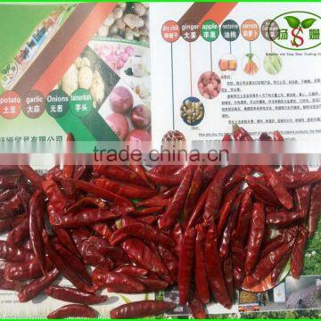 Frozen CHILI/SHANDONG CHILLI