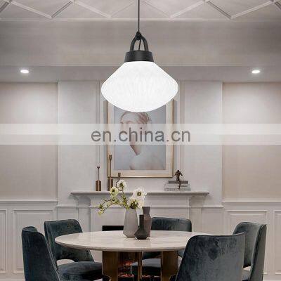 Modern Lighting Chandelier LED Lighting For Home