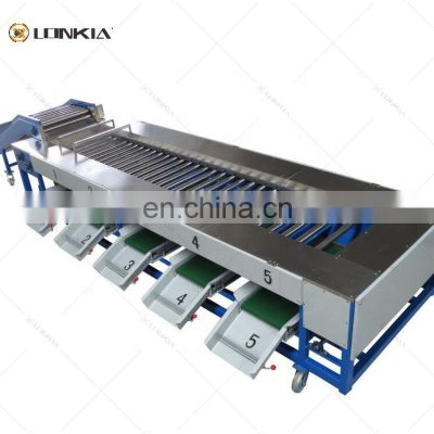 LONKIA Factory Manufacturer Directly Apple Orange Peach Tomato Potato Grading Fruit Sorting Machine