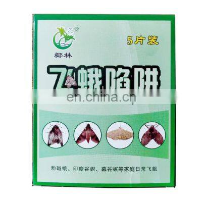 Fly Catcher Kill Flies+ Killer Insect Sticky Type Sticky Type Mosquito-killing Lamp Productsmoth Trap Best Selling Hot China