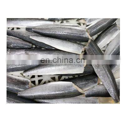 Hot sale IQF frozen Spanish mackerel fish fillet export