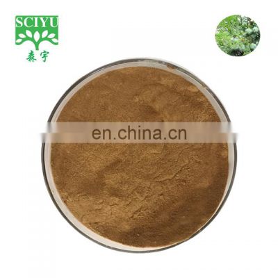 Enhancing Hair Growth Thuja Leaf Extract / Thuja Orientalis Powder