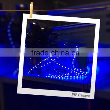 Industrial Lighting for Sale Aluminium Extrusion Smart Flexible Ribbon Led Strip Light photo-4