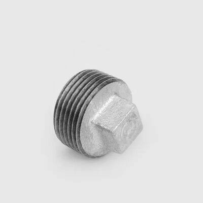 No291 HDG Iron Plug Fittings