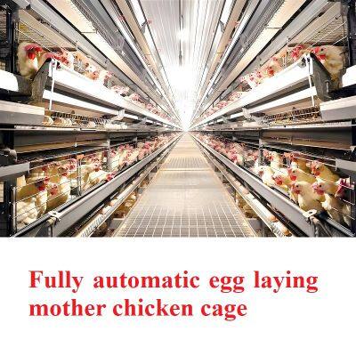 Fully automatic egg laying mother chicken cage