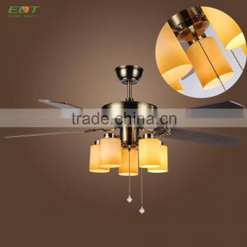 Contemporary Pleasing Ceiling Light And Fan