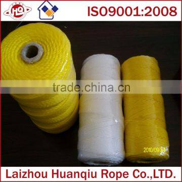China Supplier PE Twine/rope