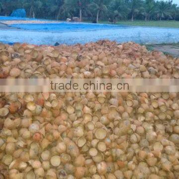 coconut shell