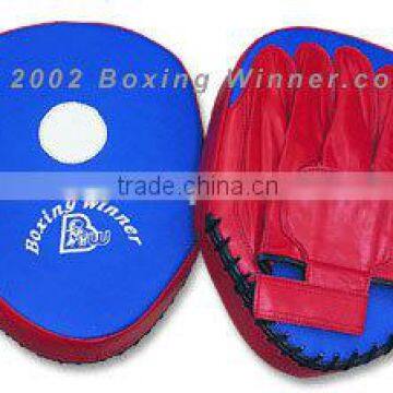 Coach/Training Pads