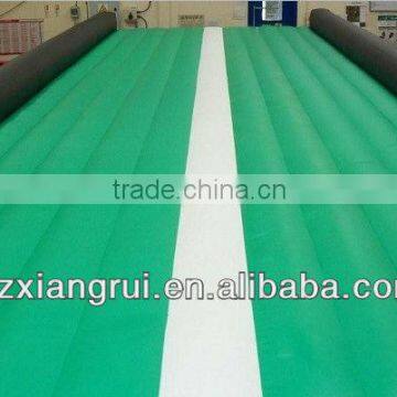 High Quality PVC Inflatable Air Track / Mat for Gymnastics Training