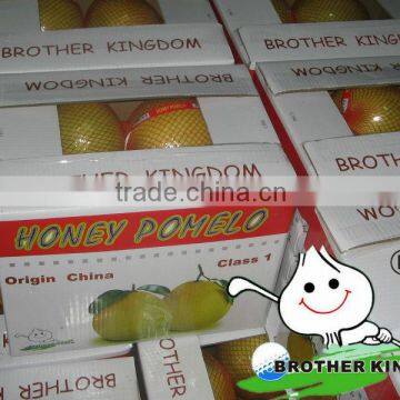 Fresh fruit pomelo chinese citrus fruits pomelo juicy fresh pomelo