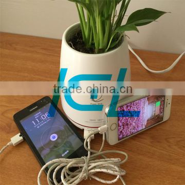 2 usb port flower vase charger,home desktop charger,usb charger manufacturer