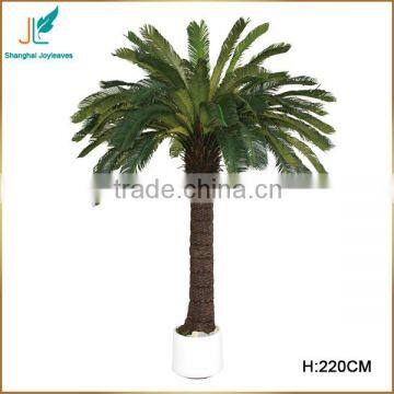 Customized Evergreen Artificial Cycas Revoluta Tree for Sale in Stock