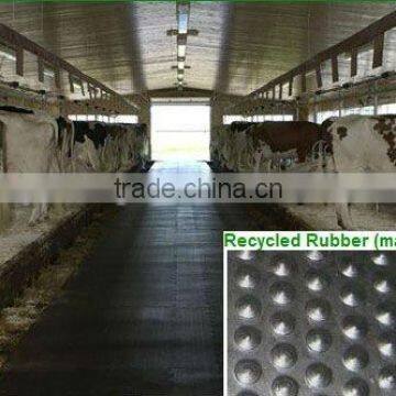 Horse Trailer Mat