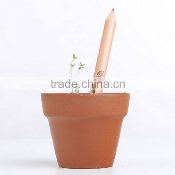 Pencil Can be Planted photo-6