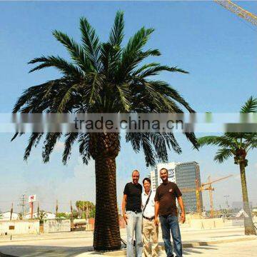 large landscape date palm tree china manufacturer/decorative palm tree for out door decoration