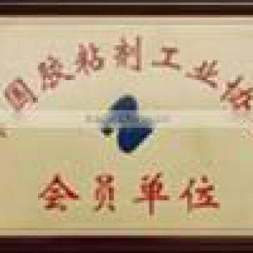 The Director Member of Chinese Adhesive Industrial