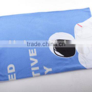 Blanket for Car