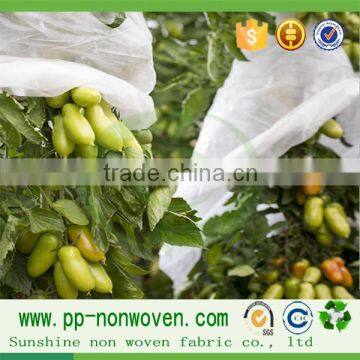 Sunshine pp Agricultural Nonwoven With UV Treated for Fruit Cover