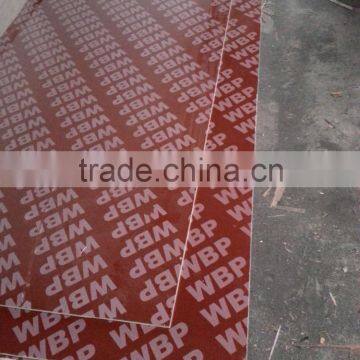 18mm Concrete Formwork Plywood photo-4