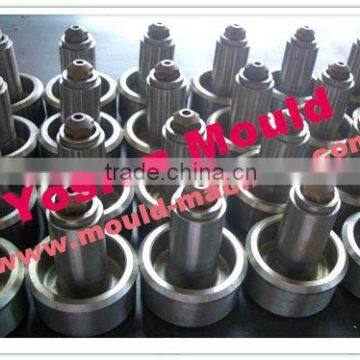 Chinese PET Bottle Preform Mould Manufacturer