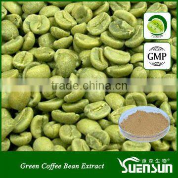 pure green coffee bean extract chlorogenic acid green coffee bean extract