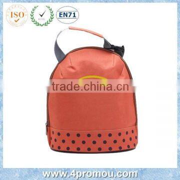 Orange Insulated Cooler tote bag
