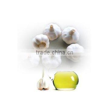 Organic garlic essential oil