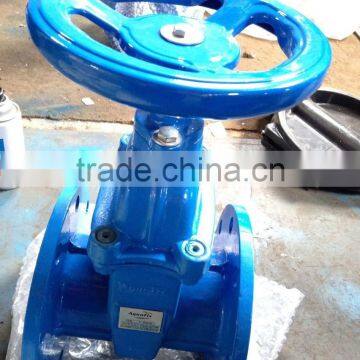 Resilient Seated Water Gate Valve