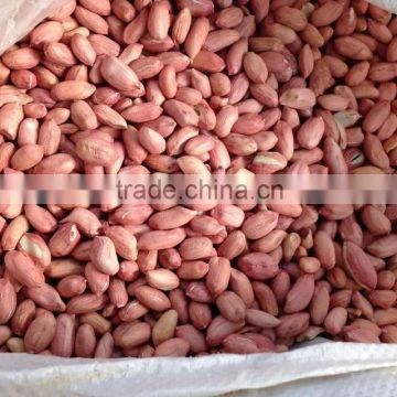 2014 Peanut kernels, Luhua / Haihua 24/28,28/32,34/38