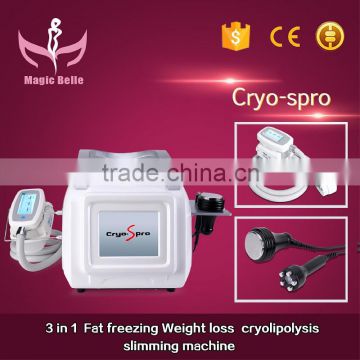 Vertical Cellulite Reduction Cryolipolysis Fat Fat Melting Freeze Slimming Machine For Home Use