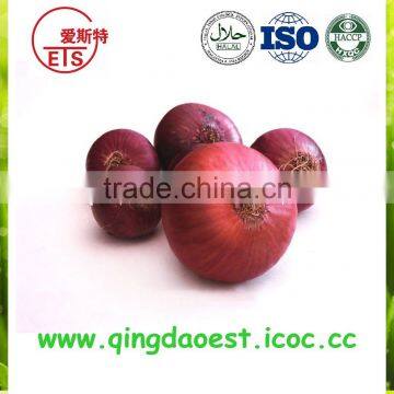 Export bulk chinese new crop Fresh red onion