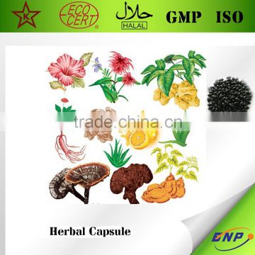 GMP Certified Plant Extract Herbal Extract Capsule