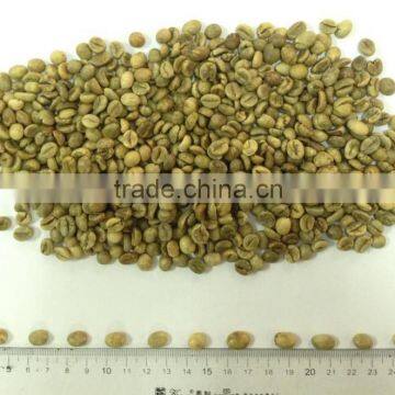 WET POLISHED ROBUSTA GREEN COFFEE BEANS GRADE 1 SCREEN 18