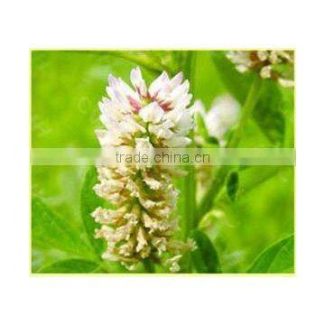 Liquorice Root Chinese Herb Medicines