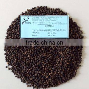 VIETNAM BLACK PEPPER FAQ 570G/L, BEST SUPPLIER (+841657106604 - WHATSAPP)