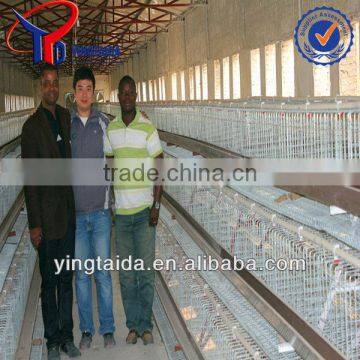 chicken cage for poultry farm for Nigeria