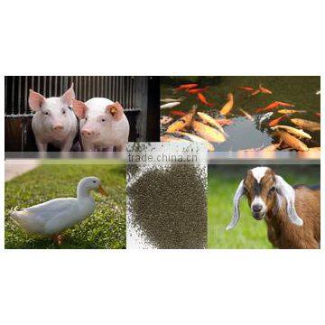 Animals Feed Supplement Kelp Meal photo-5