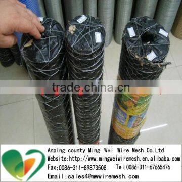 High Quality PVC Coated and galvanized Hexagonal Wire Mesh for Chicken