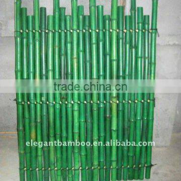 green bamboo fence panel