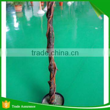Deluxe Natural Artificial Golden Ficus Tree in Pot photo-3